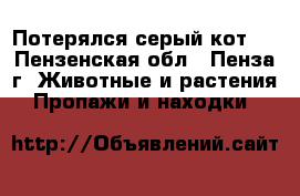 Потерялся серый кот!  - Пензенская обл., Пенза г. Животные и растения » Пропажи и находки   